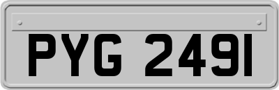 PYG2491