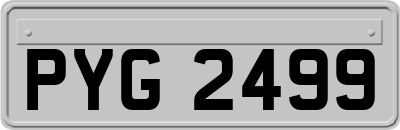 PYG2499