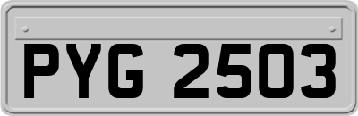 PYG2503