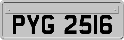 PYG2516