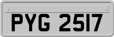 PYG2517