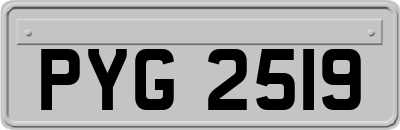 PYG2519