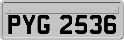 PYG2536