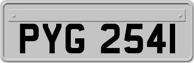 PYG2541