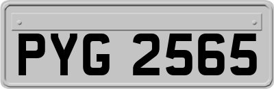 PYG2565