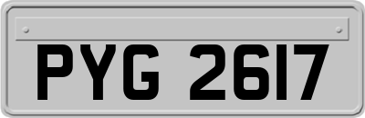 PYG2617