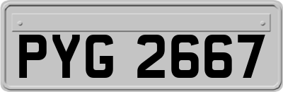 PYG2667