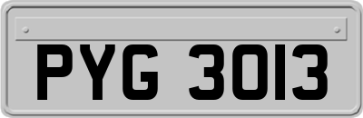 PYG3013