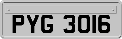 PYG3016