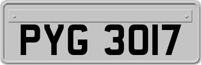 PYG3017