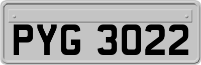 PYG3022