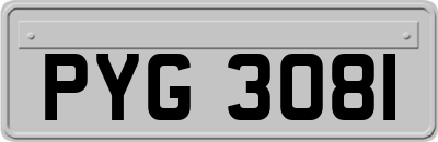 PYG3081