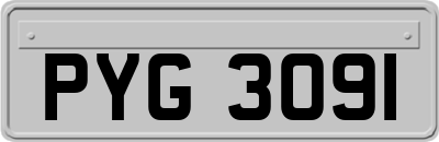 PYG3091