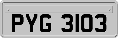 PYG3103