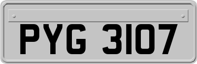 PYG3107