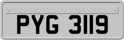 PYG3119