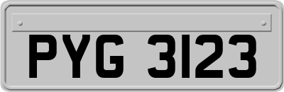 PYG3123