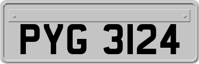 PYG3124