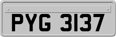 PYG3137