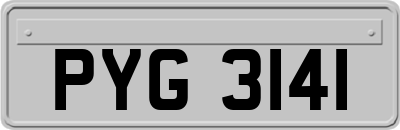 PYG3141