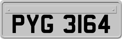 PYG3164