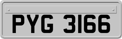 PYG3166