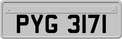 PYG3171