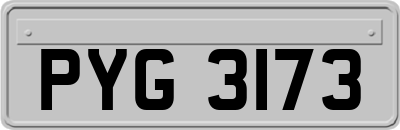 PYG3173