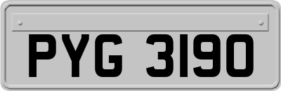 PYG3190