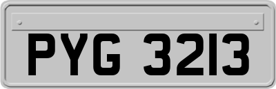 PYG3213