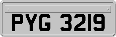 PYG3219