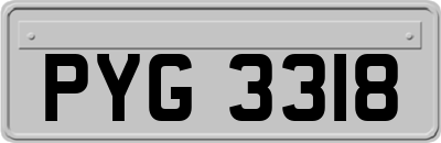 PYG3318