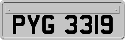 PYG3319