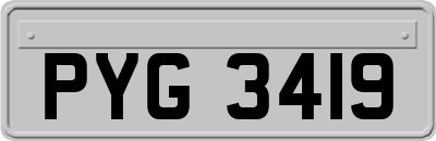 PYG3419