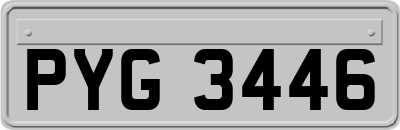 PYG3446