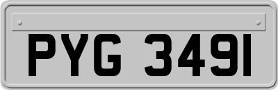 PYG3491