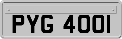 PYG4001