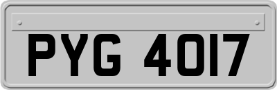 PYG4017