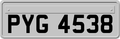 PYG4538