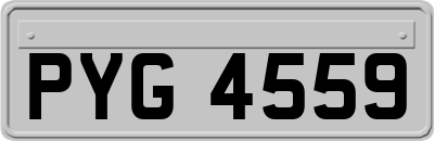 PYG4559