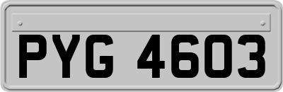 PYG4603