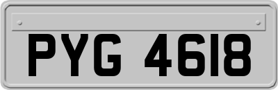 PYG4618