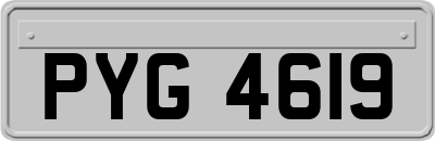 PYG4619