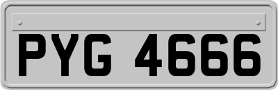 PYG4666