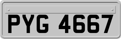 PYG4667