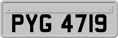 PYG4719