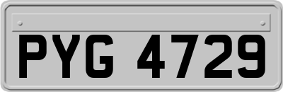 PYG4729