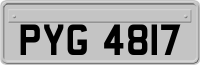 PYG4817