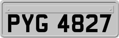 PYG4827