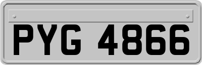 PYG4866